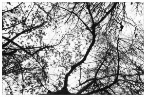 Vincenzo Travino photography Bologna