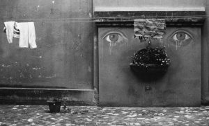 Vincenzo Travino photography Miramonte Bologna