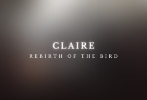 Vincenzo Travino photography - model Claire-Sarah Oussalah - Rebirth of the Bird - Nude Art Gallery